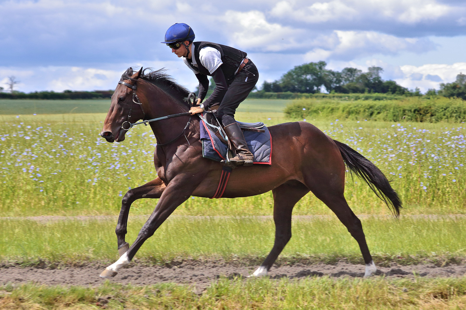 Mick & David Easterby
